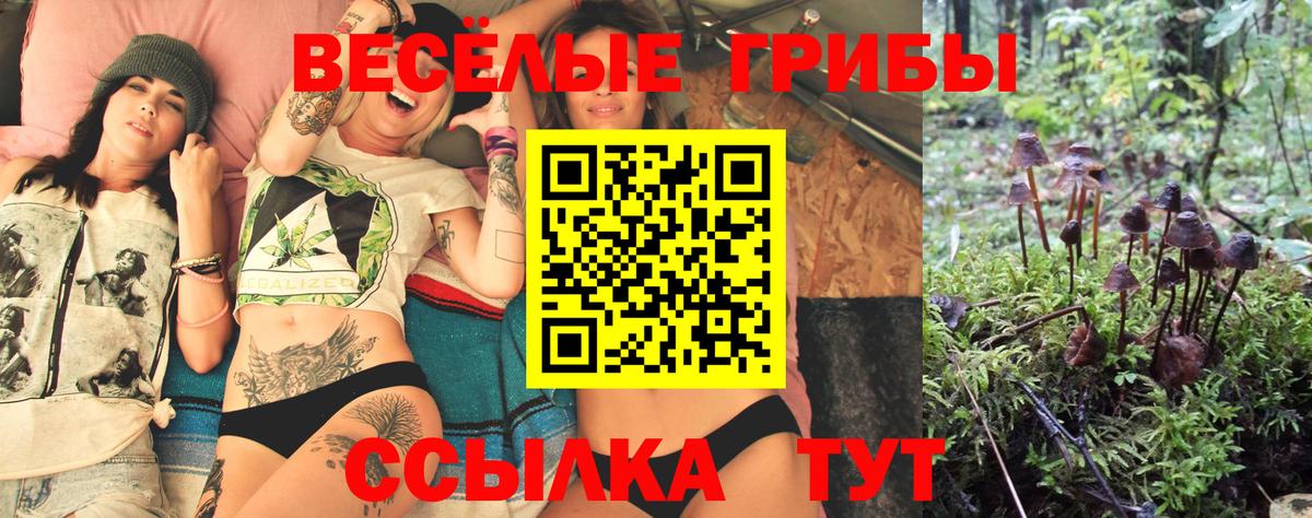 Белгород  Псилоцибиновые грибы мицелий  Вход с VPN 